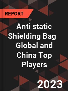 Anti static Shielding Bag Global and China Top Players Market