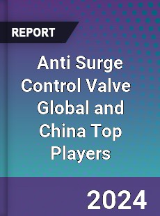 Anti Surge Control Valve Global and China Top Players Market