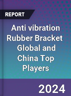 Anti vibration Rubber Bracket Global and China Top Players Market