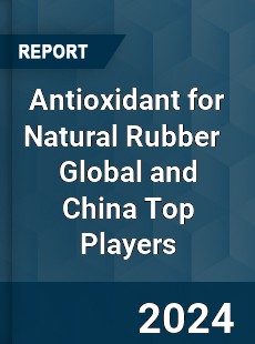 Antioxidant for Natural Rubber Global and China Top Players Market