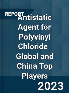 Antistatic Agent for Polyvinyl Chloride Global and China Top Players Market