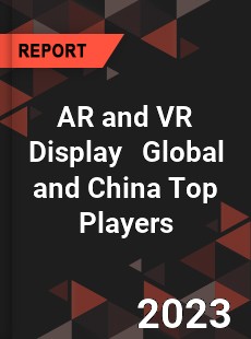 AR and VR Display Global and China Top Players Market