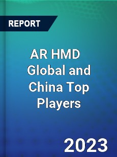 AR HMD Global and China Top Players Market