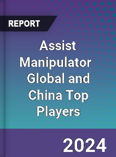 Assist Manipulator Global and China Top Players Market