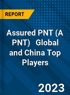 Assured PNT Global and China Top Players Market