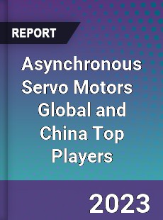 Asynchronous Servo Motors Global and China Top Players Market