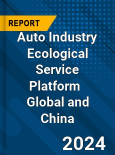 Auto Industry Ecological Service Platform Global and China