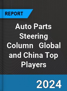 Auto Parts Steering Column Global and China Top Players Market