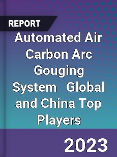 Automated Air Carbon Arc Gouging System Global and China Top Players Market