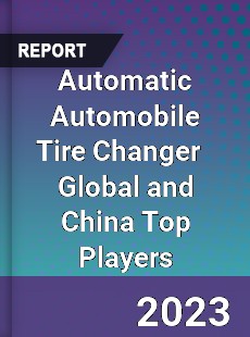 Automatic Automobile Tire Changer Global and China Top Players Market