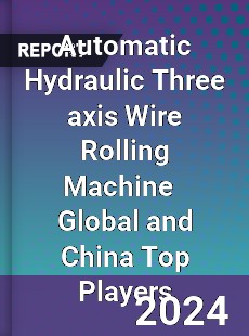 Automatic Hydraulic Three axis Wire Rolling Machine Global and China Top Players Market