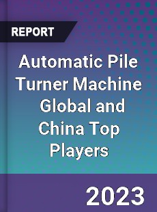 Automatic Pile Turner Machine Global and China Top Players Market