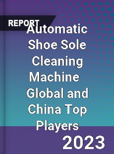 Automatic Shoe Sole Cleaning Machine Global and China Top Players Market