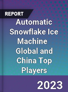 Automatic Snowflake Ice Machine Global and China Top Players Market