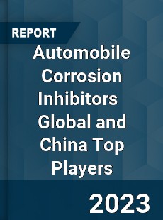 Automobile Corrosion Inhibitors Global and China Top Players Market