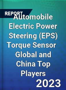 Automobile Electric Power Steering Torque Sensor Global and China Top Players Market