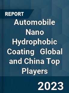 Automobile Nano Hydrophobic Coating Global and China Top Players Market