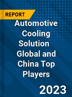 Automotive Cooling Solution Global and China Top Players Market