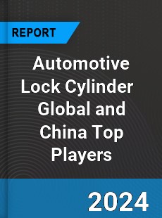 Automotive Lock Cylinder Global and China Top Players Market