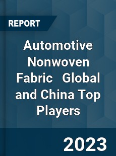 Automotive Nonwoven Fabric Global and China Top Players Market