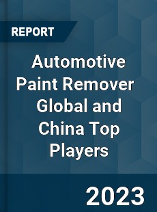 Automotive Paint Remover Global and China Top Players Market