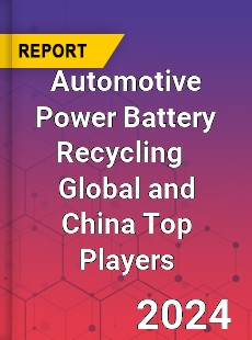 Automotive Power Battery Recycling Global and China Top Players Market