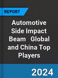 Automotive Side Impact Beam Global and China Top Players Market