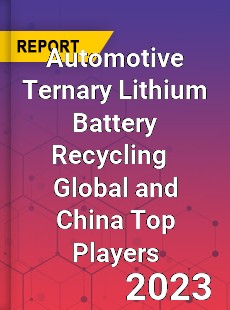 Automotive Ternary Lithium Battery Recycling Global and China Top Players Market