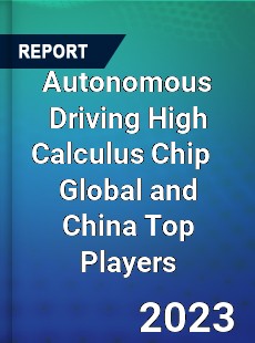 Autonomous Driving High Calculus Chip Global and China Top Players Market