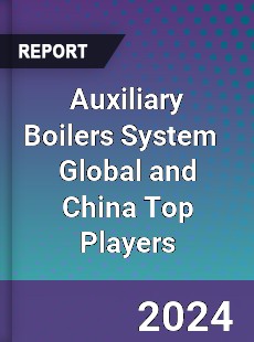 Auxiliary Boilers System Global and China Top Players Market