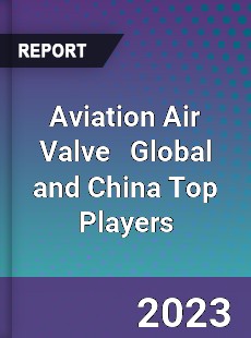 Aviation Air Valve Global and China Top Players Market