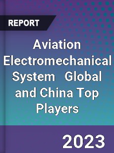 Aviation Electromechanical System Global and China Top Players Market