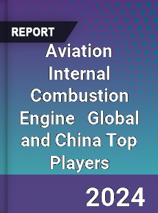 Aviation Internal Combustion Engine Global and China Top Players Market