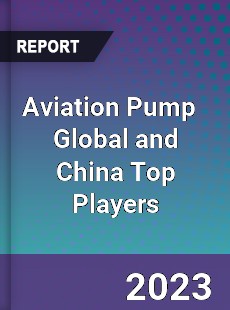 Aviation Pump Global and China Top Players Market