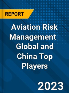 Aviation Risk Management Global and China Top Players Market