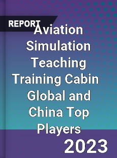 Aviation Simulation Teaching Training Cabin Global and China Top Players Market