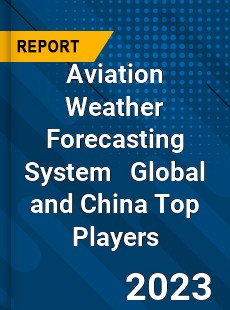 Aviation Weather Forecasting System Global and China Top Players Market