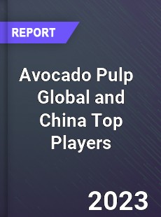 Avocado Pulp Global and China Top Players Market