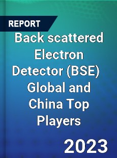 Back scattered Electron Detector Global and China Top Players Market