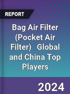 Bag Air Filter Global and China Top Players Market