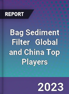 Bag Sediment Filter Global and China Top Players Market