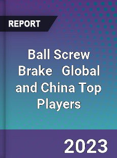 Ball Screw Brake Global and China Top Players Market