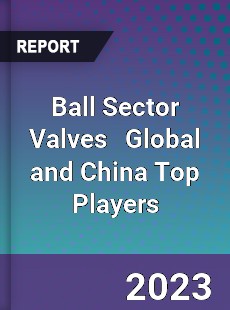 Ball Sector Valves Global and China Top Players Market