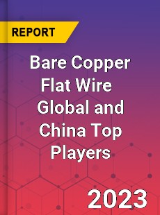 Bare Copper Flat Wire Global and China Top Players Market