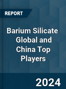 Barium Silicate Global and China Top Players Market