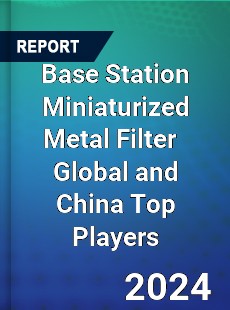 Base Station Miniaturized Metal Filter Global and China Top Players Market