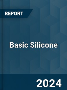 Basic Silicone Market