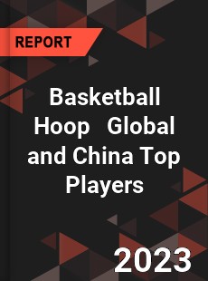 Basketball Hoop Global and China Top Players Market