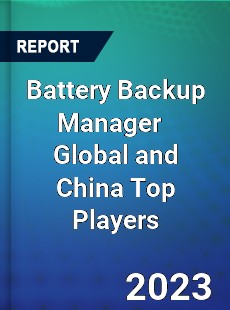 Battery Backup Manager Global and China Top Players Market