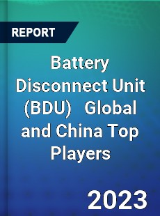 Battery Disconnect Unit Global and China Top Players Market